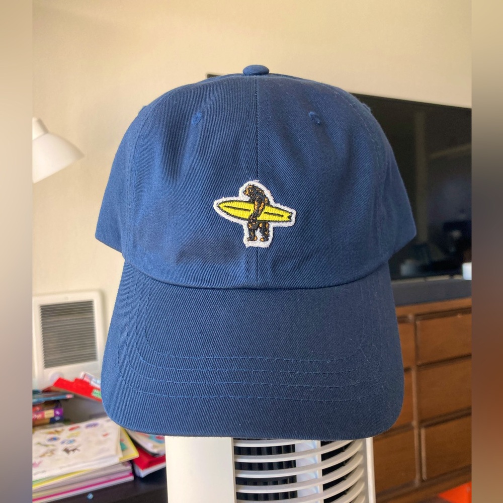 Everyday California Dad Hat Cap Snapback Blue New Without Tag